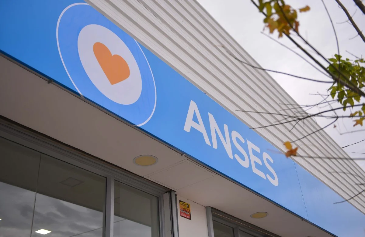 ANSES: qué trámites podés hacer desde el celular o la computadora sin sacar turno