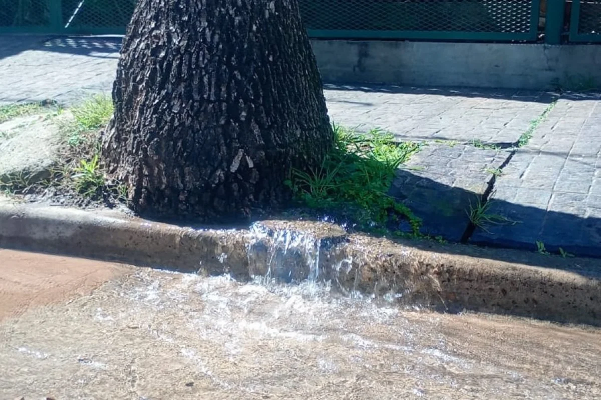 Reclamo por un caño roto en la vereda de Jordana al 530