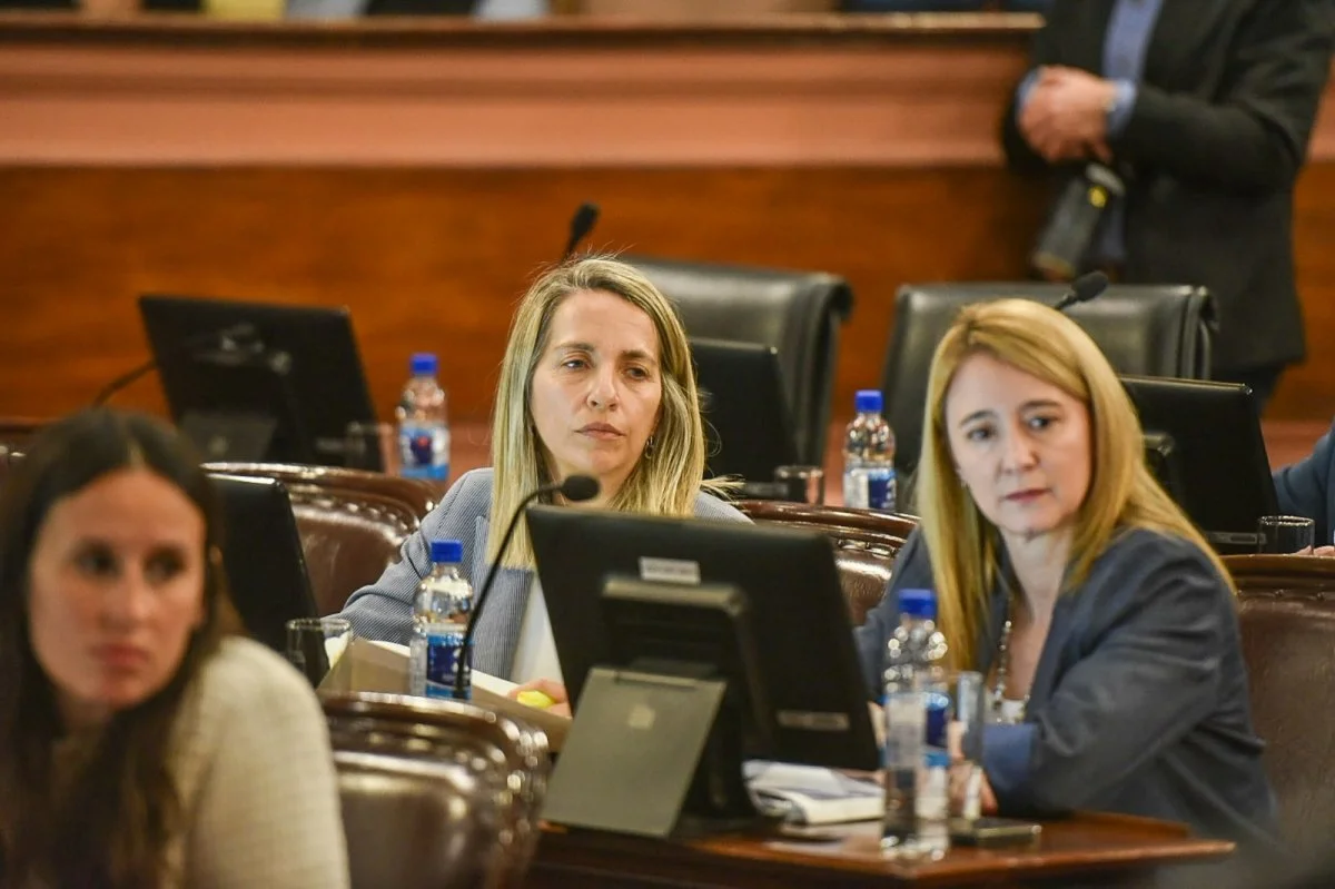 Stratta cuestionó el proyecto de transformación digital: Ignorar la ciberseguridad y la protección de datos es una irresponsabilidad inst