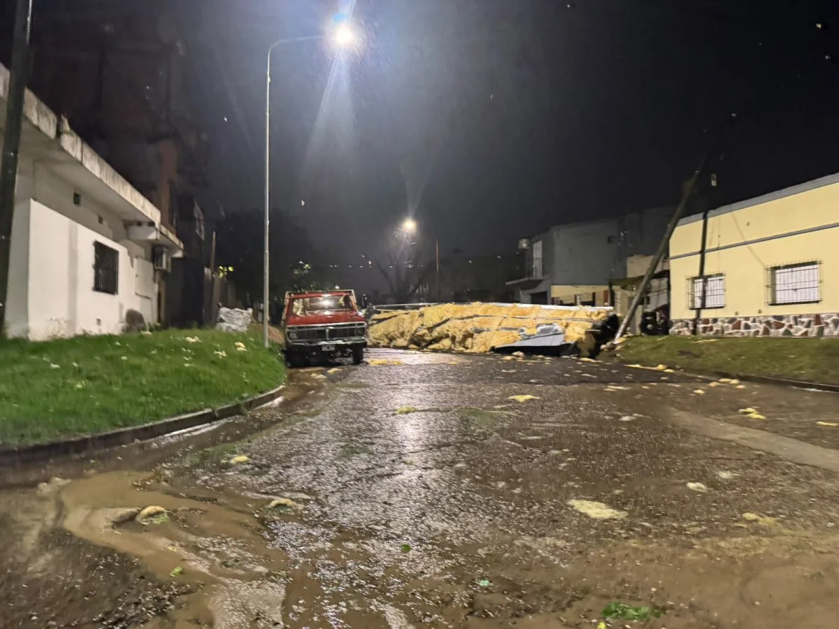 El temporal provocó caída de árboles, voladuras de techos y un principio de incendio en viviendas El temporal provocó caída de árboles, voladuras de techos y un principio de incendio en viviendas
